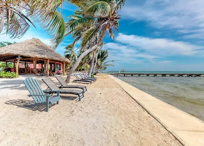 Mango 10 At Caribe Island Gold Standard Certified *