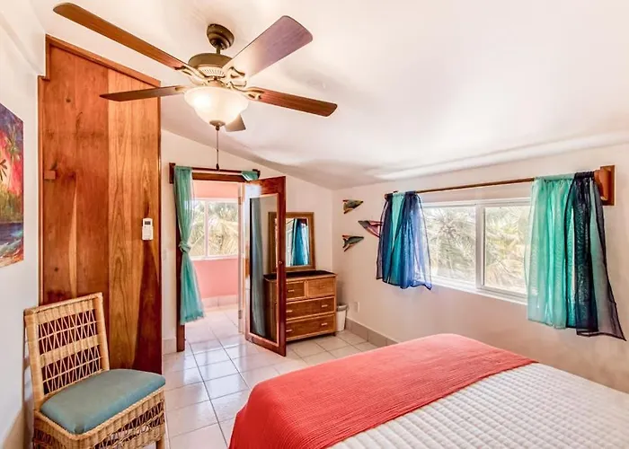 Mango 10 At Caribe Island Gold Standard Certified * San Pedro (Ambergris Caye)