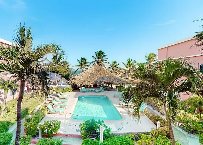 Mango 10 At Caribe Island Gold Standard Certified San Pedro (Ambergris Caye)