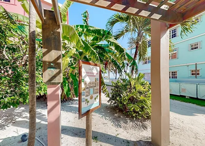 Mango 10 At Caribe Island Gold Standard Certified
